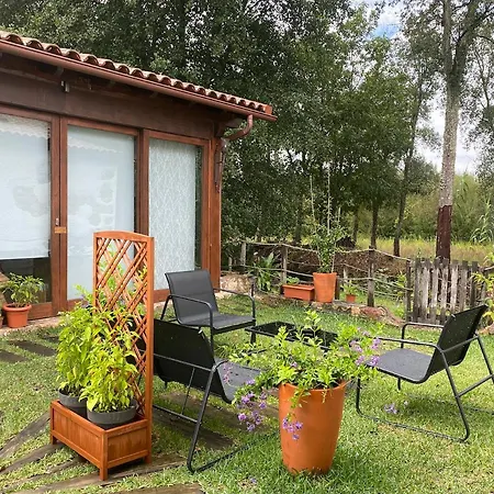 Homestay The Old Watermill Retreat - O Retiro Da Azenha Velha Vila Nova de Poiares