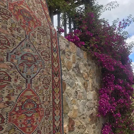 Kwatera prywatna The Old Watermill Retreat - O Retiro Da Azenha Velha Vila Nova de Poiares