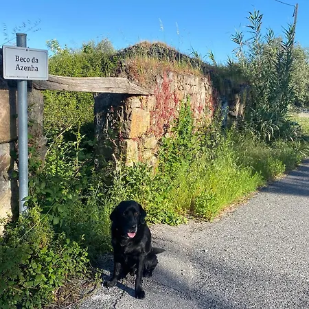 The Old Watermill Retreat - O Retiro Da Azenha Velha