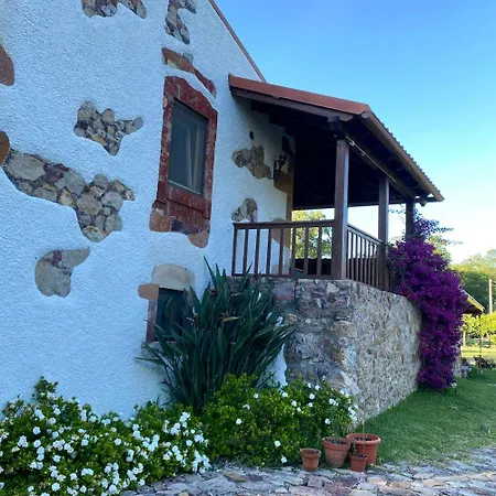 The Old Watermill Retreat - O Retiro Da Azenha Velha Homestay