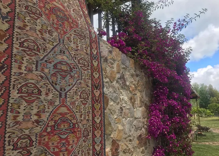 בית אירוח The Old Watermill Retreat - O Retiro Da Azenha Velha וילה נובה דה פויארס