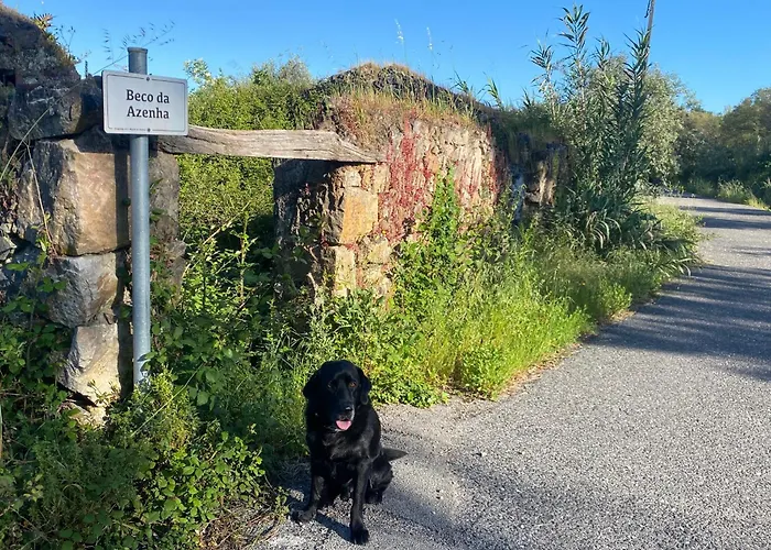 The Old Watermill Retreat - O Retiro Da Azenha Velha